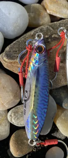 Major Craft Jigpara Slow Live #085