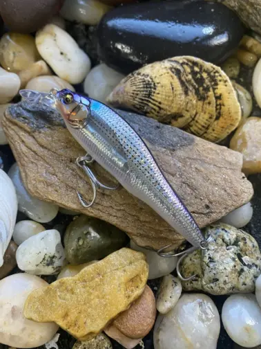 Megabass X-80 SW