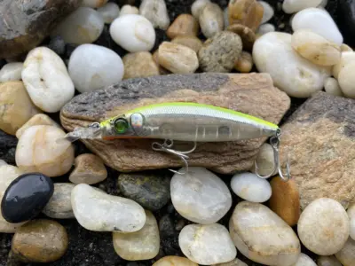 Megabass ZONK 77 GATARIDE