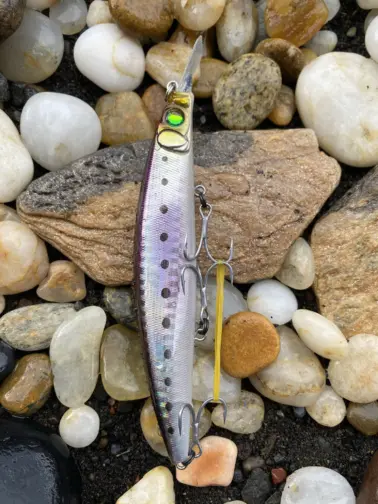 Megabass ZONK IWASHI