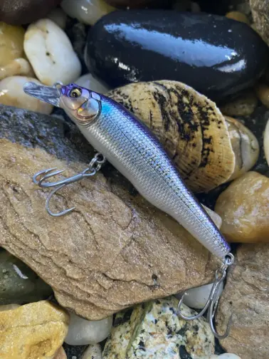 Megabass X-80 Shallow