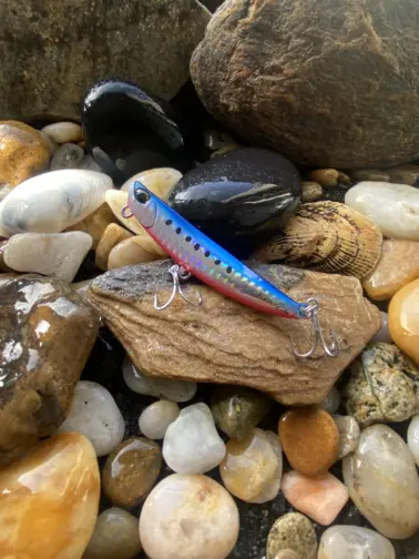 DUO Flipper Mazume Sardine