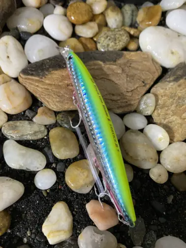 SHORELINE SHINER-Z VERTICE R125S Fuyagai