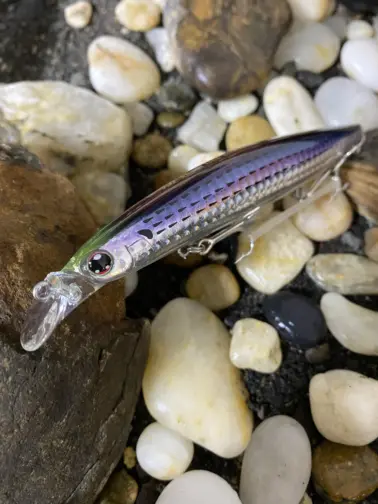 SHORELINE SHINER-Z VERTICE R125F