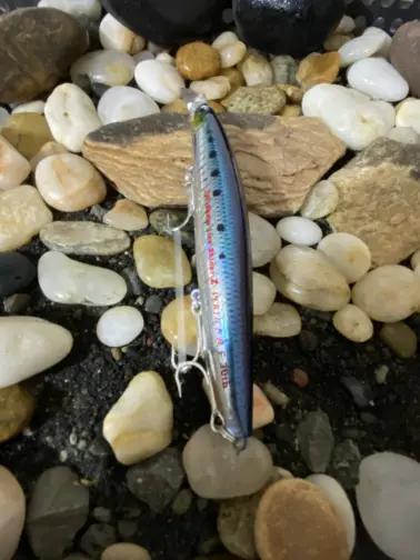 SHORELINE SHINER-Z VERTICE R125S 30th Anniversary Alde Iwashi