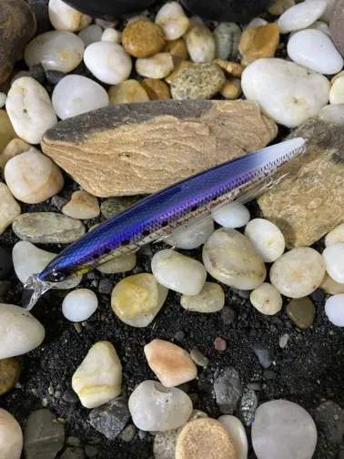 SHORELINE SHINER-Z VERTICE R125S 30th Anniversary Alde Glow Iwashi