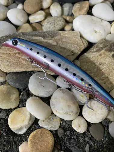 Ima Sasuke 120 Reppa RP215 Mako Iwashi