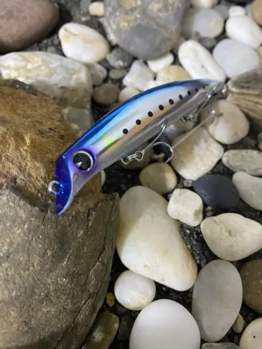 Ima Sasuke 120 Reppa RP232 Mekki Iwashi