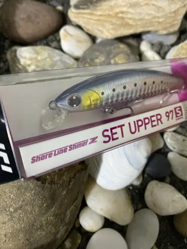 DAIWA SHORELINE SHINER Z SETUPPER 97S DR