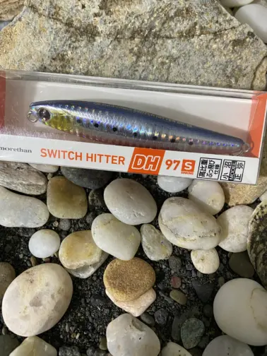 DAIWA MORETHAN SWITCH HITTER DH97S Laser sardine