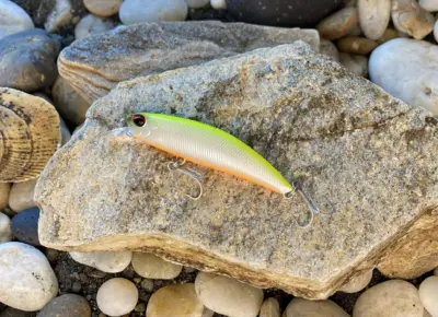 Spearhead Ryuki 60S SW LIMITED Pearl Chart II