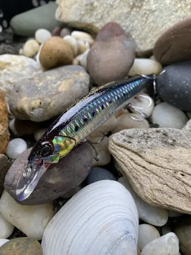 DUO Realis  Jerkbaits SW 120 SP Shigomori Special