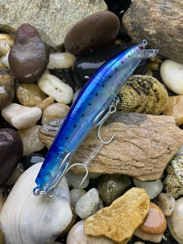 Jackson Athlete 14F