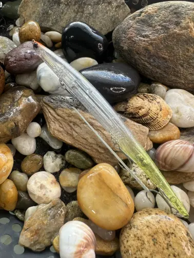 DUO Tide Minnow Slim 200 Clear Chart Mirage