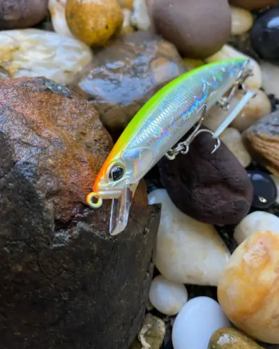 DUO TIDE MINNOW SPRAT 120SF Chart Back