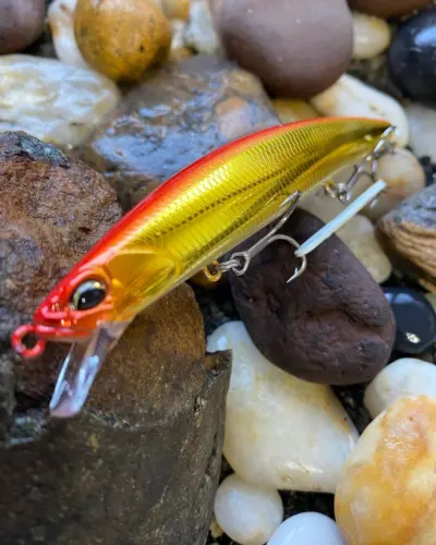 DUO TIDE MINNOW SPRAT 120SF Red Shiner