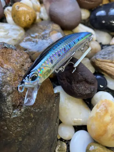 DUO TIDE MINNOW SPRAT 120SF Maiwashi