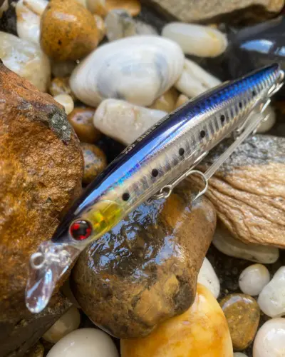SHORELINE SHINER-Z VERTICE R125S Laser Maiwashi