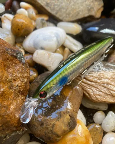 SHORELINE SHINER-Z VERTICE R125S 3D Inakko