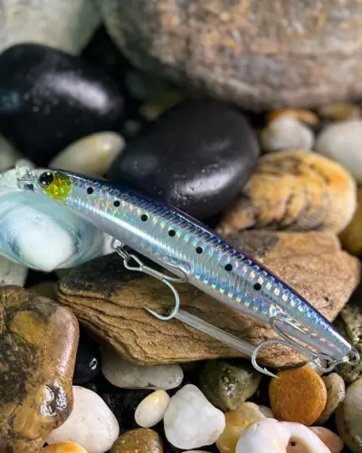 SHORELINE SHINER-Z Lunker H130F-HD Laser Maiwashi