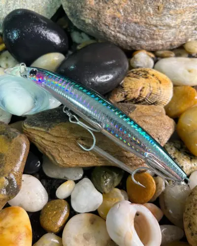 SHORELINE SHINER-Z Lunker H130F-HD Kibinango