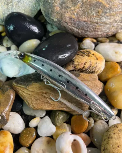 SHORELINE SHINER-Z Lunker H130F-HD MT Trans Iwashi