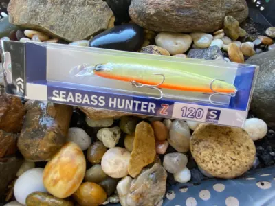 Daiwa Seabass Hunter Z 120S Chart Back Pearl