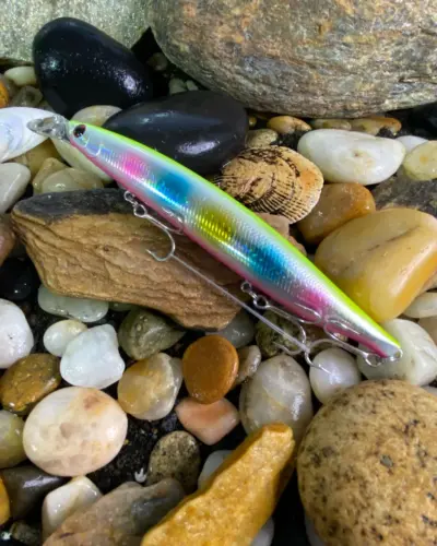 SHORELINE SHINER-Z VERTICE R140F