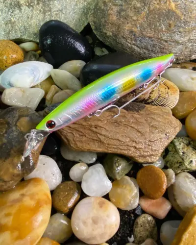 SHORELINE SHINER-Z VERTICE R140F Adel Fuyajo