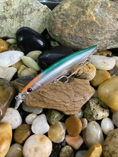 SHORELINE SHINER-Z VERTICE R140F Adel Orange Head Kibinago