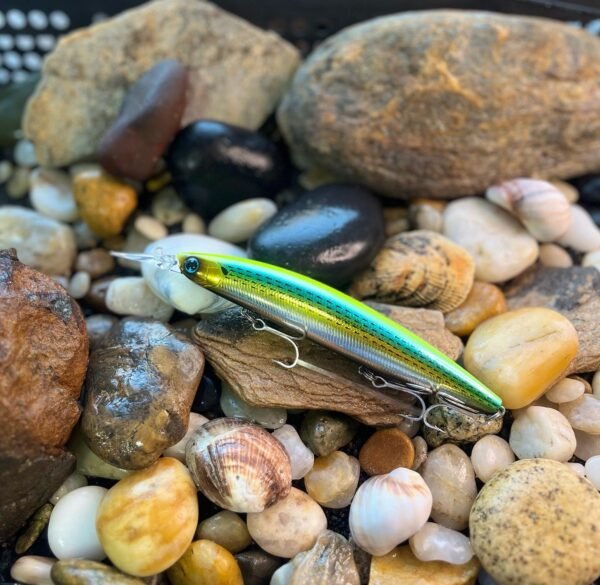 Leurres Daiwa Shoreline Shiner Current Master - Pour Pêche En Mer - 4.33" - Jamais Utilisé