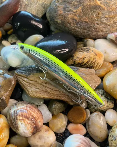 Daiwa Shoreline Shiner Z Setupper 125S Adel Chart konoshiro