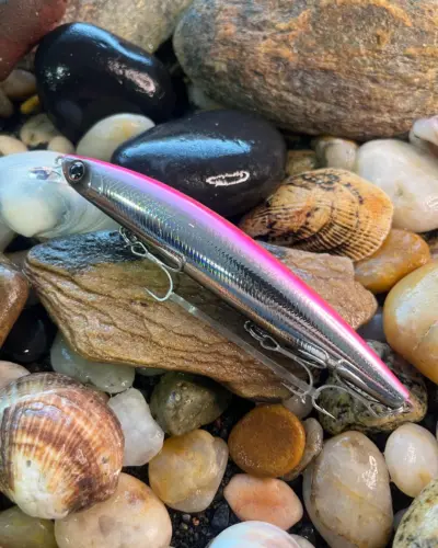 Daiwa Shoreline Shiner Z Setupper 125S Adel Pink Back Black Belly