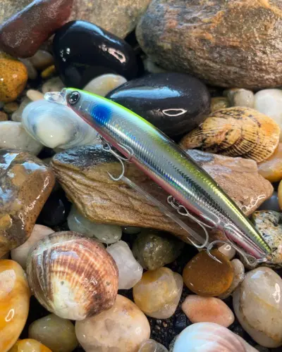 Daiwa Shoreline Shiner Z Setupper 125S Adel Chart Head Inakko Pink Belly