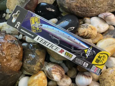 Daiwa Shoreline Shiner Z Vertice R STG 125S