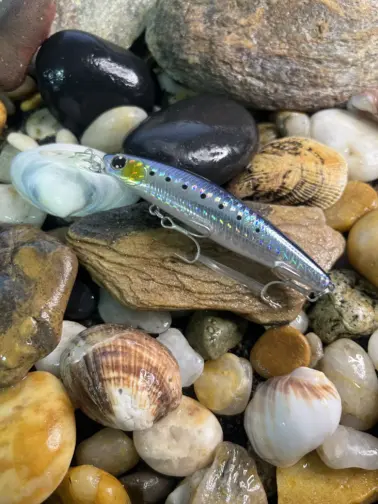 Daiwa Shoreline Shiner Z SetUpper DR Laser Maiwashi