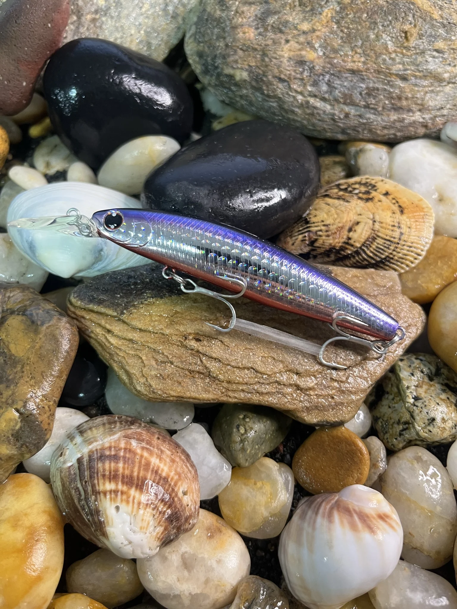 Daiwa Shoreline Shiner Z SetUpper DR