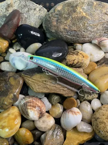 Daiwa Shoreline Shiner Z SetUpper DR Fuyagai