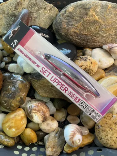 Daiwa Shoreline Shiner Z SetUpper DR 3D Katakuchi Red Belly