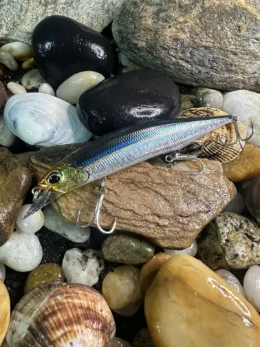 DUO Realis  Jerkbaits SW 120 SP Blackear Sardine