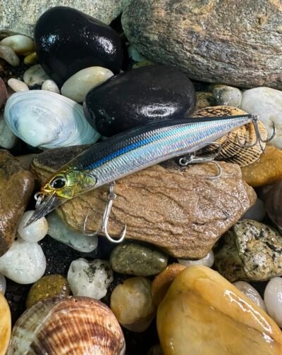 DUO Realis  Jerkbaits SW 120 SP - Blackear Sardine