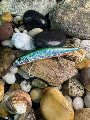 DUO Realis  Jerkbaits SW 120 SP Tiranga OB
