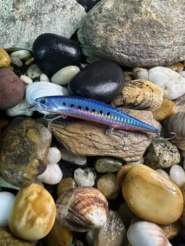 DUO Realis  Jerkbaits SW 120 SP Mazume Sardine
