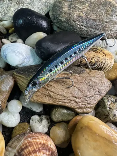 DUO Realis  Jerkbaits SW 120 SP Sardine