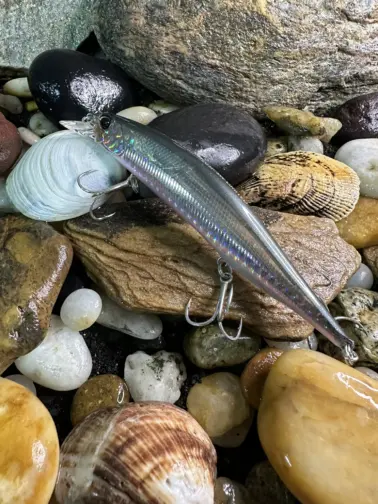 DUO Realis  Jerkbaits SW 120 SP Belone