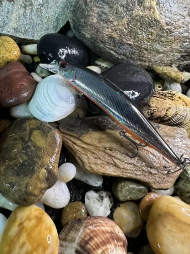 DUO Realis  Jerkbaits SW 120 SP Prism Shad