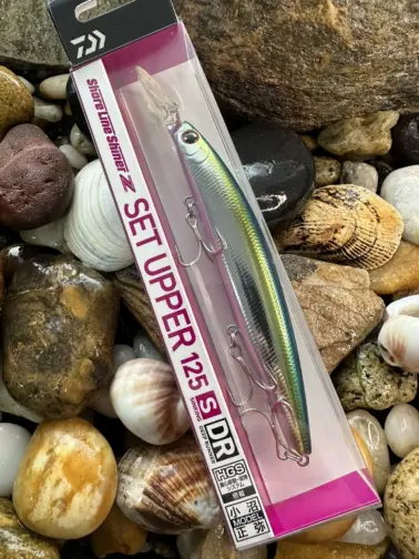 Daiwa Shoreline Shiner Z SetUpper DR Kibinango
