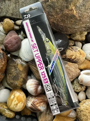 Daiwa Shoreline Shiner Z SetUpper DR LI Chart Head Kibinago