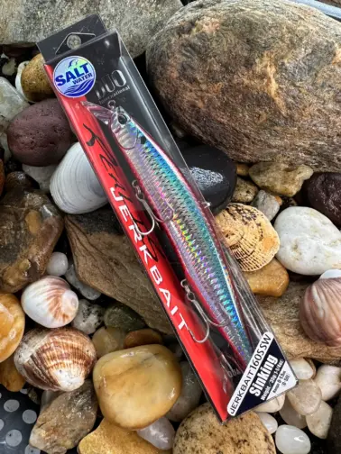 DUO Realis  Jerkbaits SW 160 Sinking Red Mullet