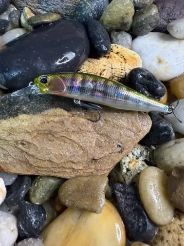 DUO REALIS ROZANTE
